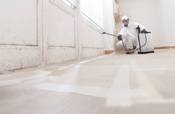 24/7 Emergency Mold Cleanup experts in Wakefield, VA