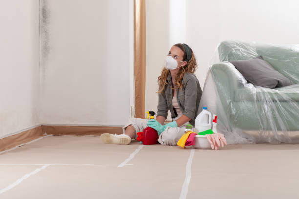 Reliable Mold Cleanup contractor in Wakefield, VA by Cheap Mold Removal